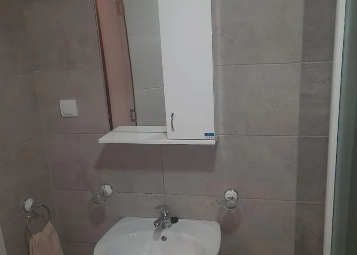 Apartman Ignjatovic *