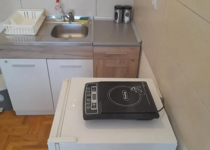 Apartman Ignjatovic *