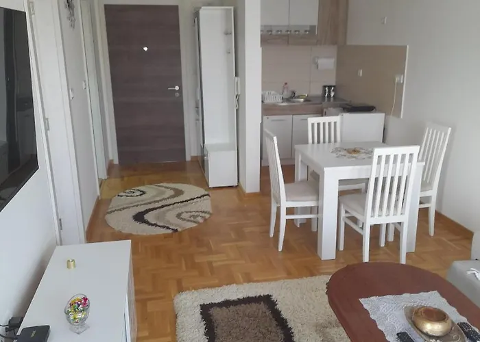 Apartman Ignjatovic *